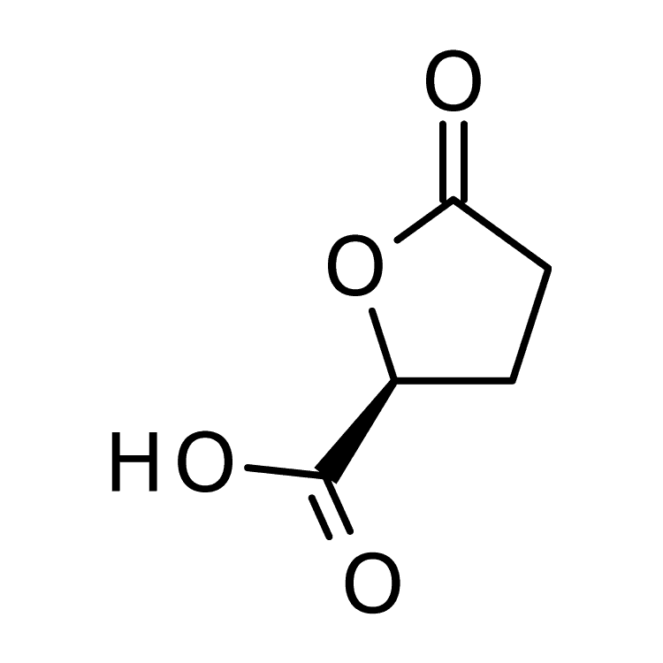 Structure of 21461-84-7 | (2S)-5-oxooxolane-2-carboxylic acid