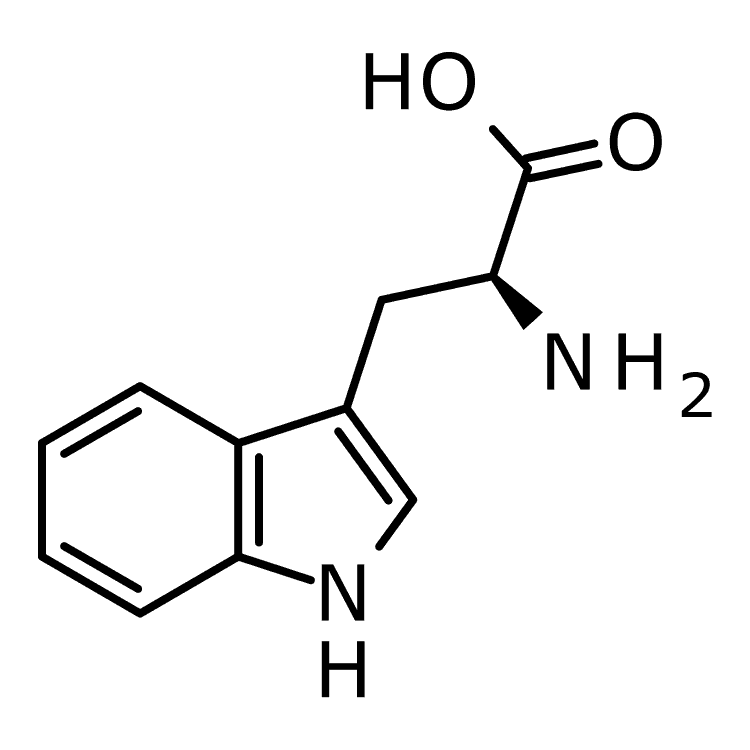 Structure of 73-22-3 | (2S)-2-amino-3-(1H-indol-3-yl)propanoic acid