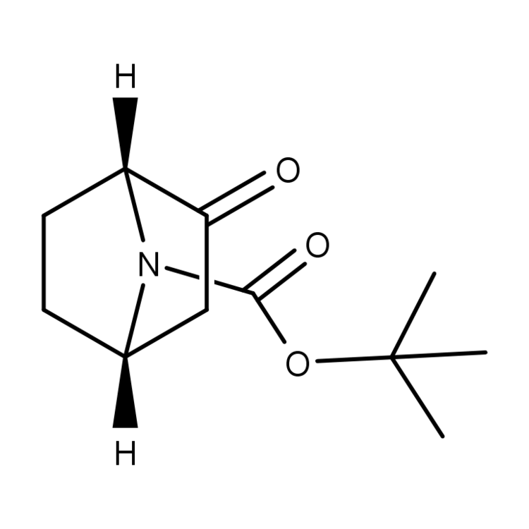 (1R,4S)-7-Boc-2-oxo-7-azabicyclo[2.2.1]heptane