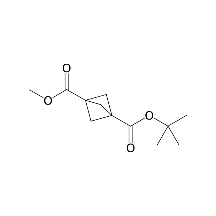 1-tert-butyl 3-methyl bicyclo[1.1.1]pentane-1,3-dicarboxylate