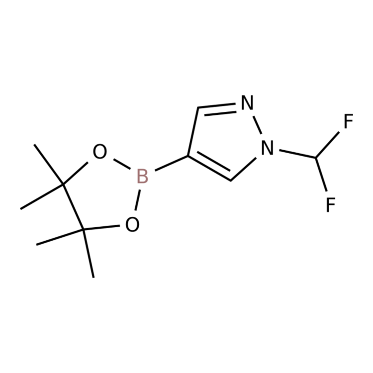 Structure of 1206640-82-5 | 1-(Difluoromethyl)-4-(tetramethyl-1,3,2-dioxaborolan-2-yl)-1H-pyrazole