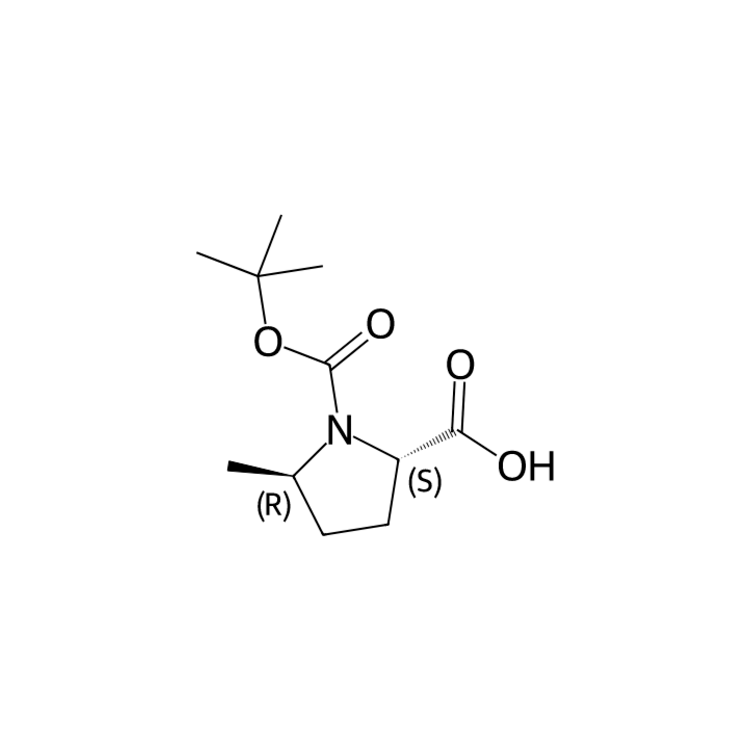 (2S,5R)-1-[(tert-butoxy)carbonyl]-5-methylpyrrolidine-2-carboxylic acid