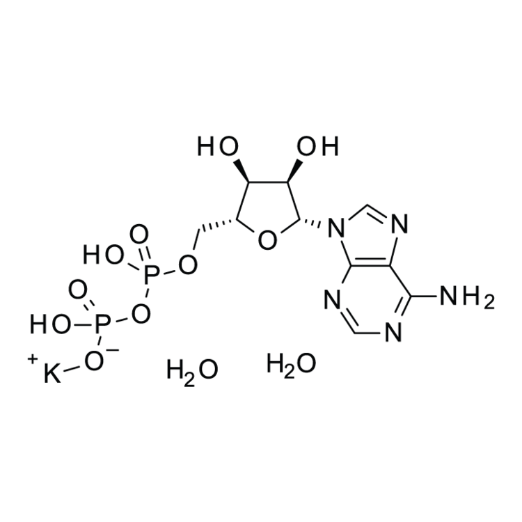 ((2R,3S,4R,5R)-5-(6-amino-9H-purin-9-yl)-3,4-dihydroxytetrahydrofuran-2-yl)methyl trihydrogen diphosphate, potassium salt dihydrate