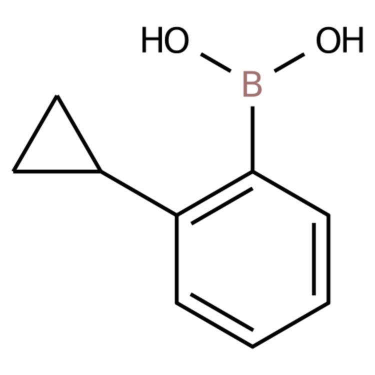 (2-Cyclopropylphenyl)boronic acid