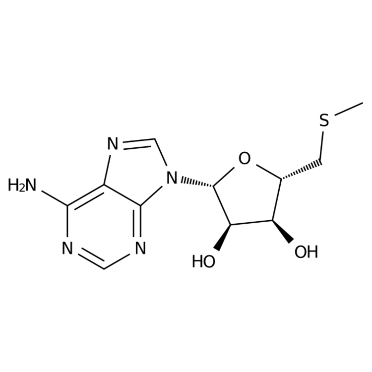 Structure of 2457-80-9 | (2R,3R,4S,5S)-2-(6-aminopurin-9-yl)-5-[(methylsulfanyl)methyl]oxolane-3,4-diol