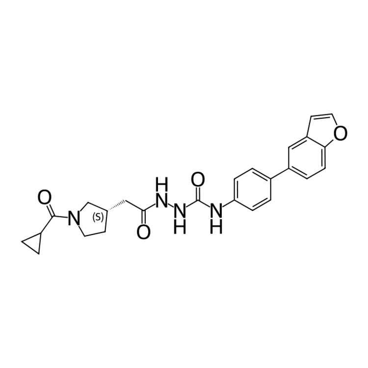 Structure of 1807981-95-8 | (S)-N-(4-(benzofuran-5-yl)phenyl)-2-(2-(1-(cyclopropanecarbonyl)pyrrolidin-3-yl)acetyl)hydrazine-1-carboxamide