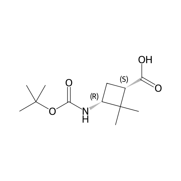 (1S,3R)-3-(tert-butoxycarbonylamino)-2,2-dimethyl-cyclobutanecarboxylic acid